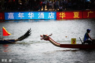 竞渡海丰 2014年中国龙舟公开赛初赛精彩瞬间